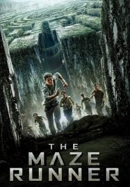 ดูหนังออนไลน์ฟรี The Maze Runner (2014) วงกตมฤตยู